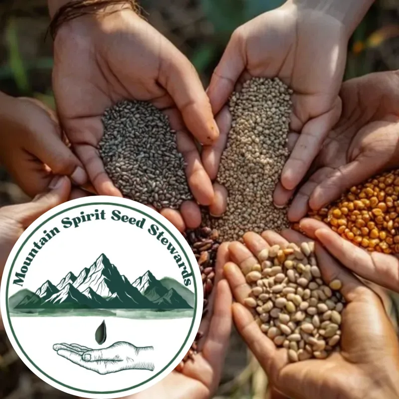Building Local and Living Seed Culture